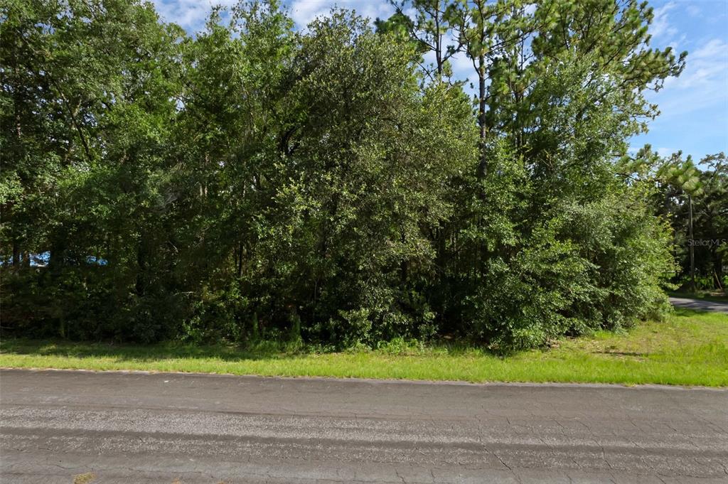 6745 North Nantucket Way Dunnellon, FL 34434 - Photo 7 of 7 a view of outdoor space and yard
