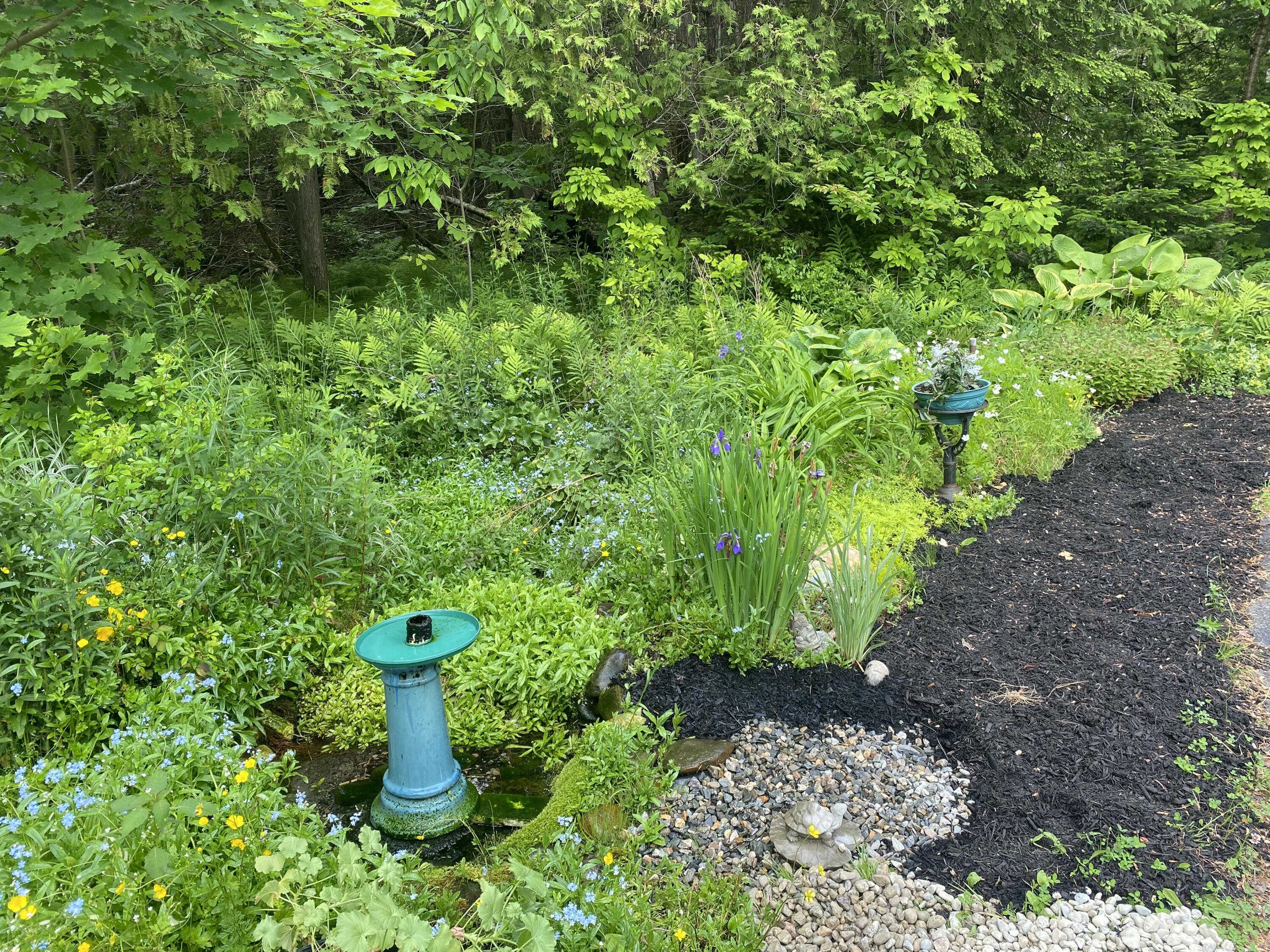 13 Junipers Lane, Unit 6 Oakland, ME 04963 - Photo 6 of 25 IMG_4173