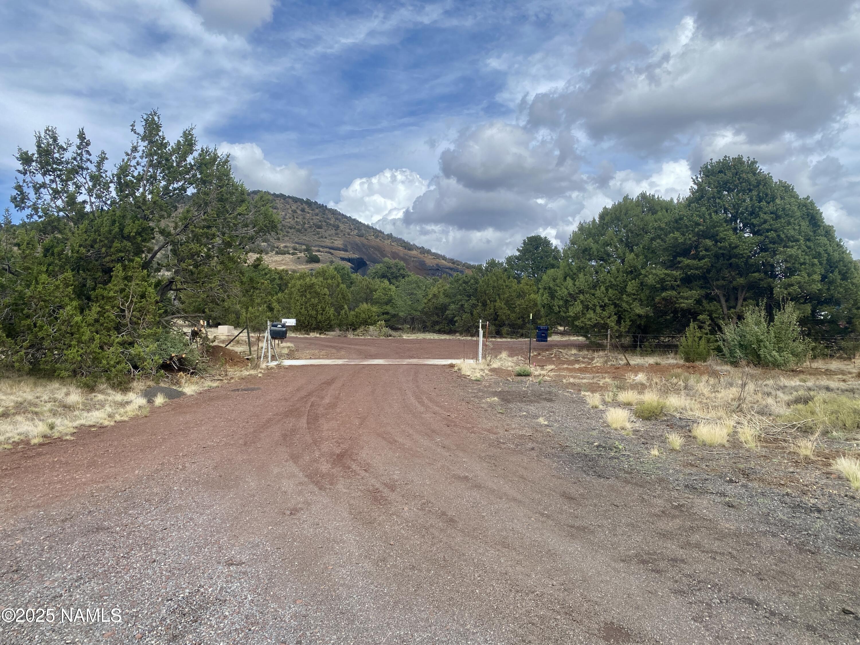 6083 North Joshua Tree Road Williams, AZ 86046 - Photo 38 of 40 a view of a field with plants and trees