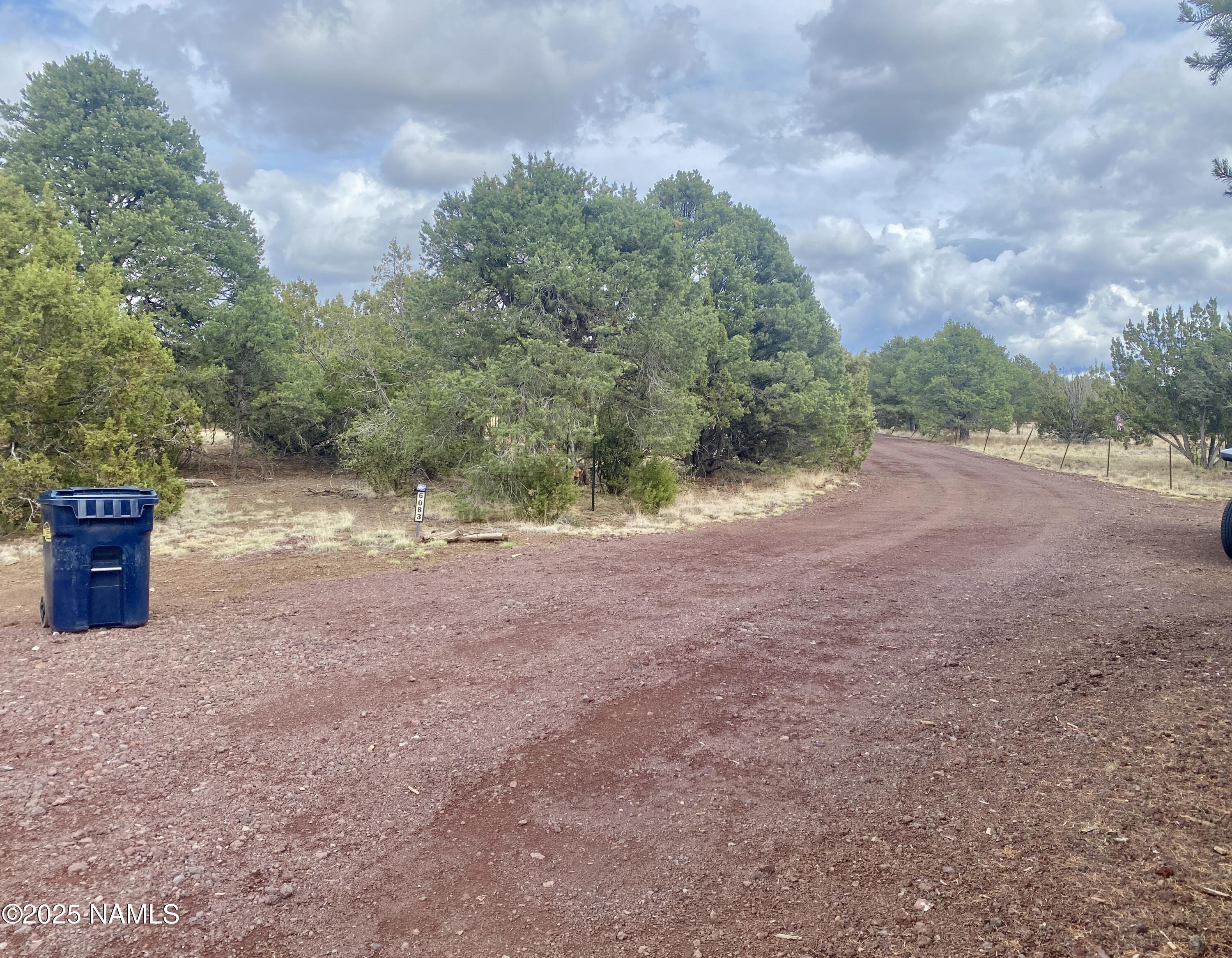 6083 North Joshua Tree Road Williams, AZ 86046 - Photo 39 of 40 a view of a field with trees in the background