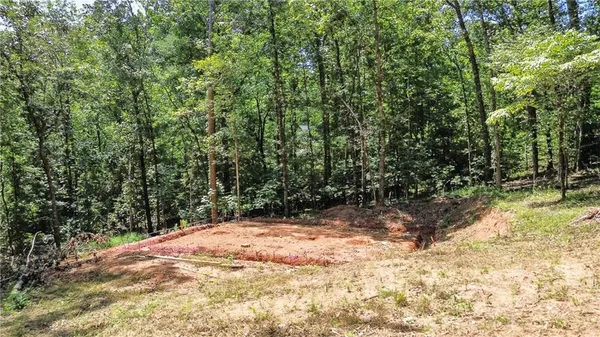 a view of a yard with plants and trees
