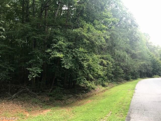 8044 Witty Road Summerfield, NC 27358 - Photo 3 of 3 Gallery Image 3