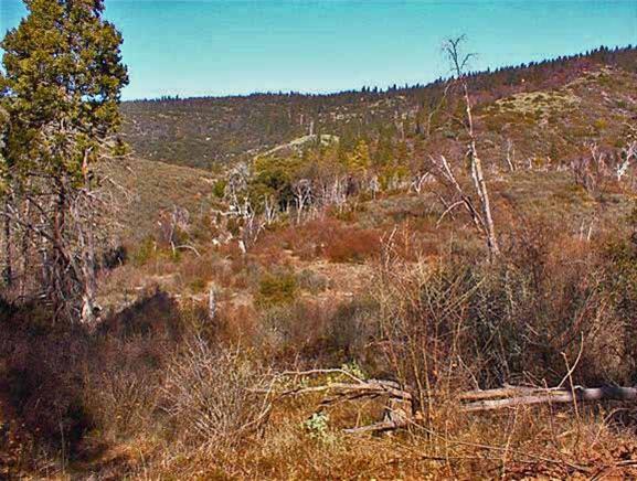 0 Todd Eymann Road Miramonte, CA 93641 - Photo 7 of 12 Gallery Image 7
