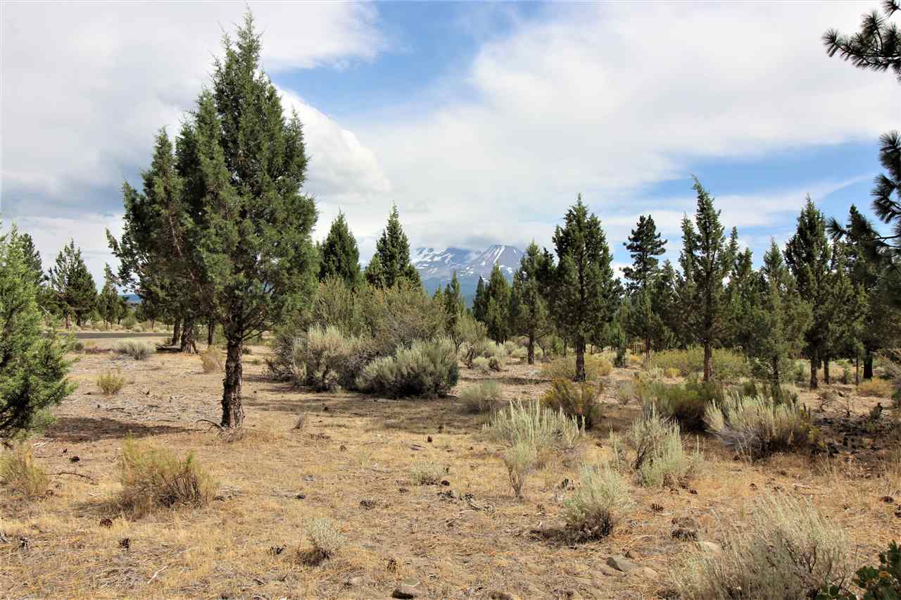 Lot 81 Archer Road Weed, CA 96094 - Photo 4 of 18 Gallery Image 4
