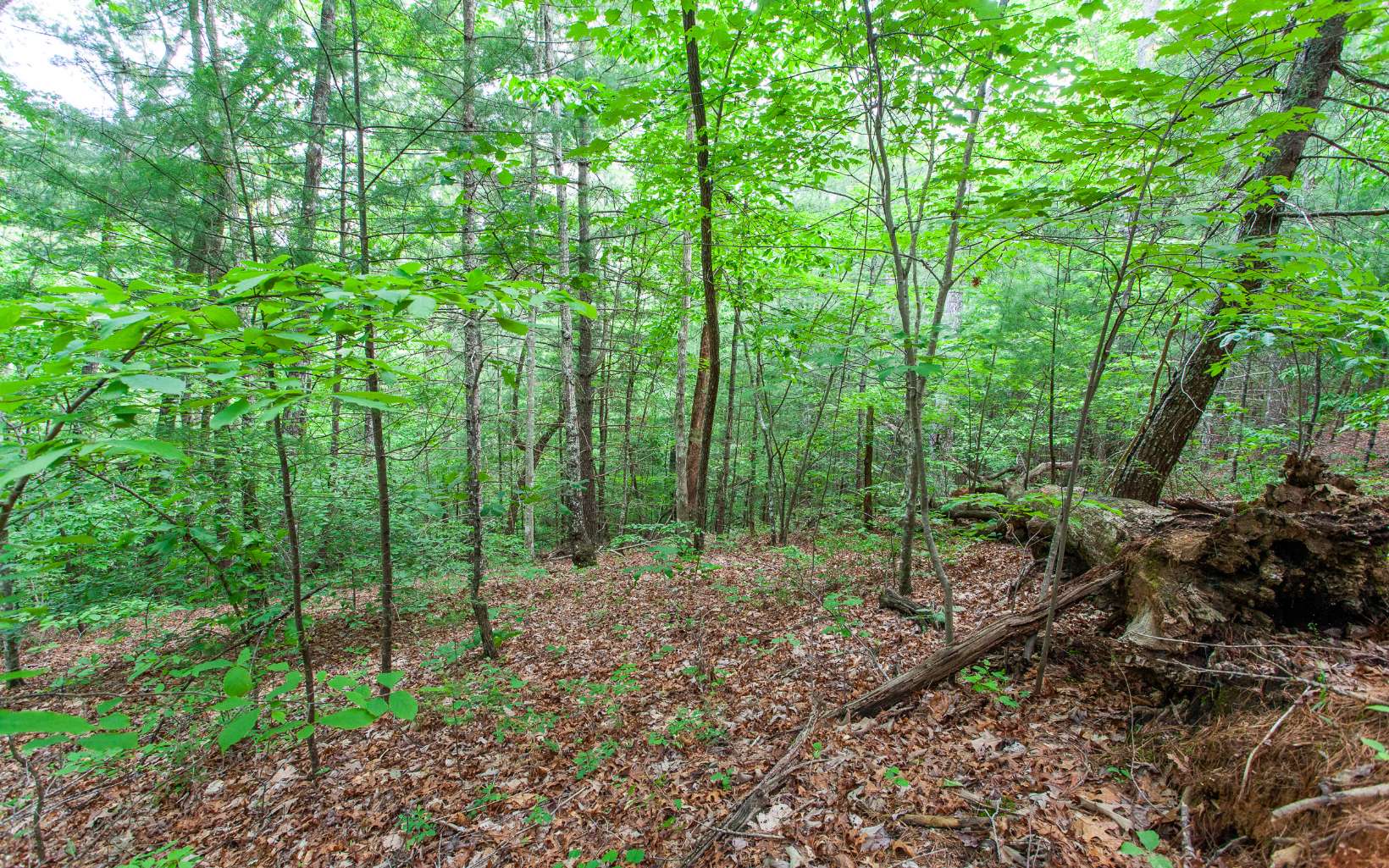 0 Mountain View Road Murphy, NC 28906 - Photo 16 of 22 Additional View