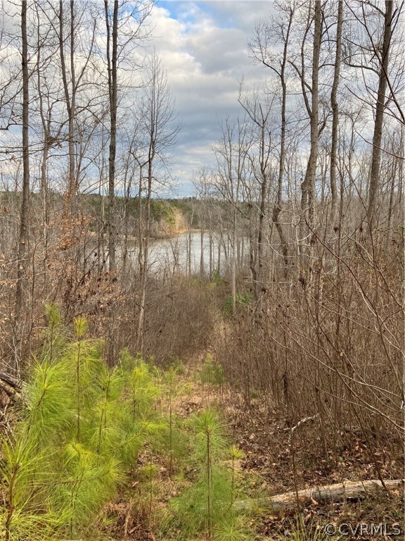 5 Crystal Lake Road Crewe, VA 23930 - Photo 3 of 4 a view of a lake view