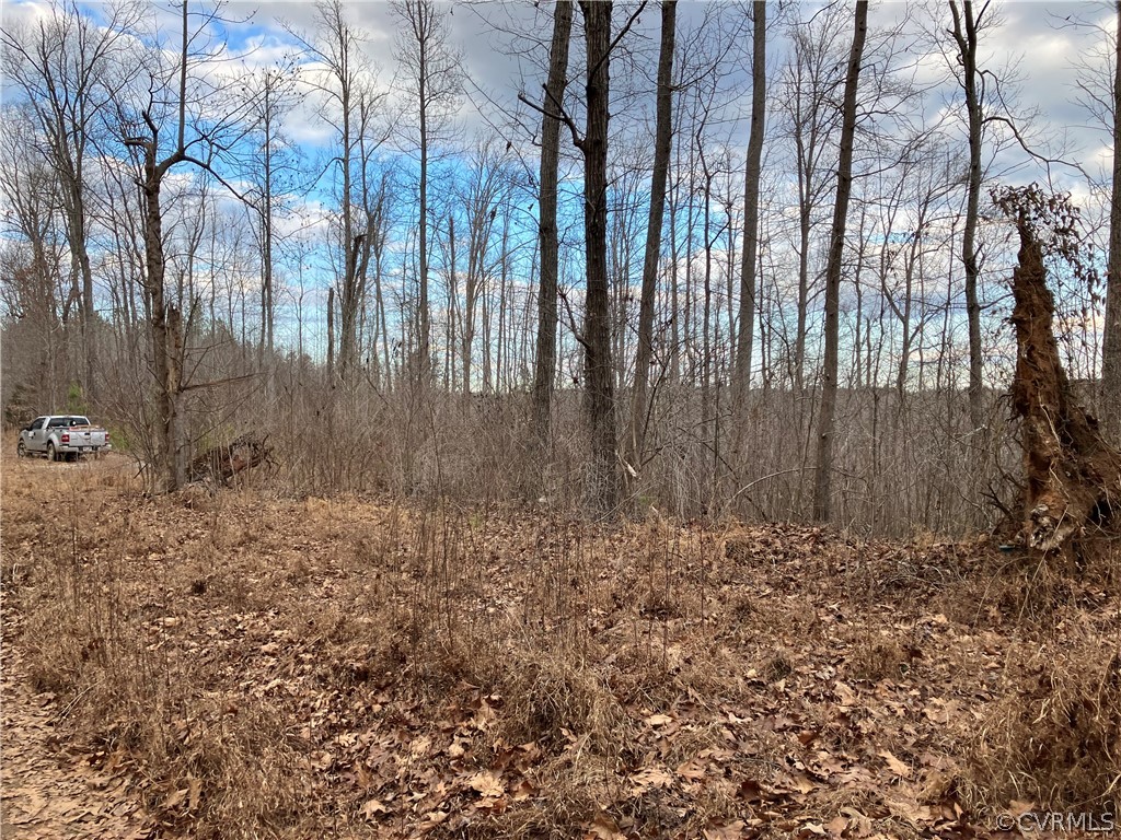 5 Crystal Lake Road Crewe, VA 23930 - Photo 4 of 4 a view of backyard with wooden fence