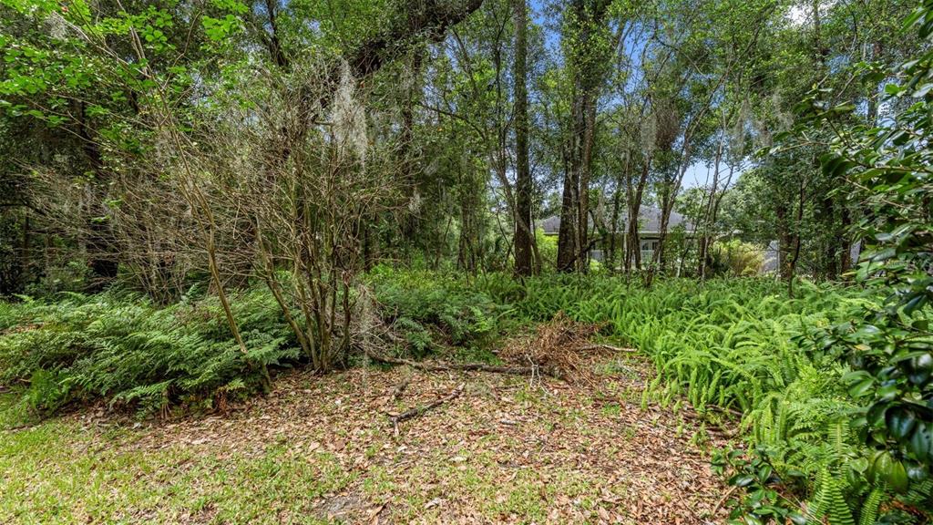 1237 Cardinal Lane DeLand, FL 32720 - Photo 72 of 83