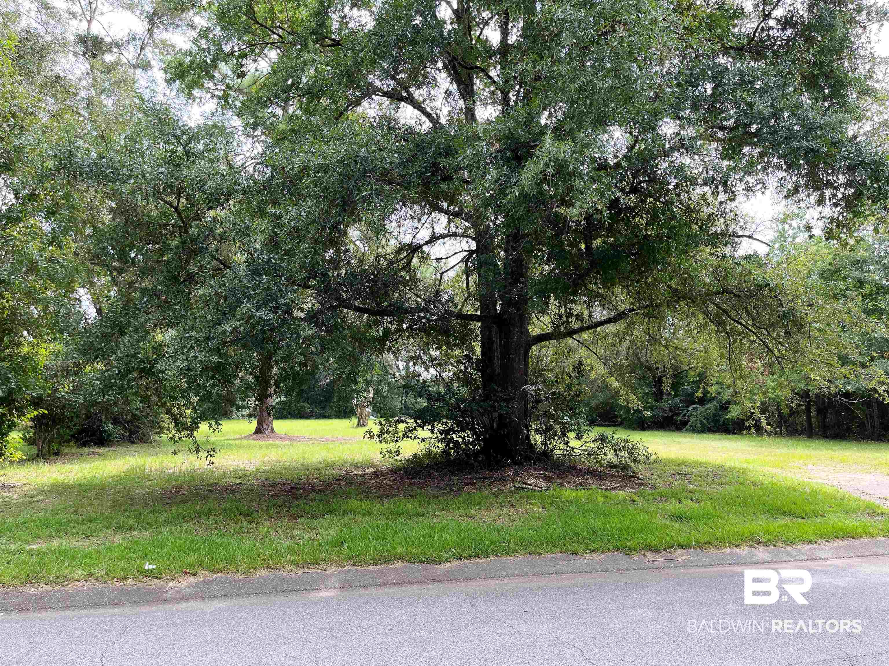 7201 Wigfield Road Theodore, AL 36582 - Photo 1 of 5
