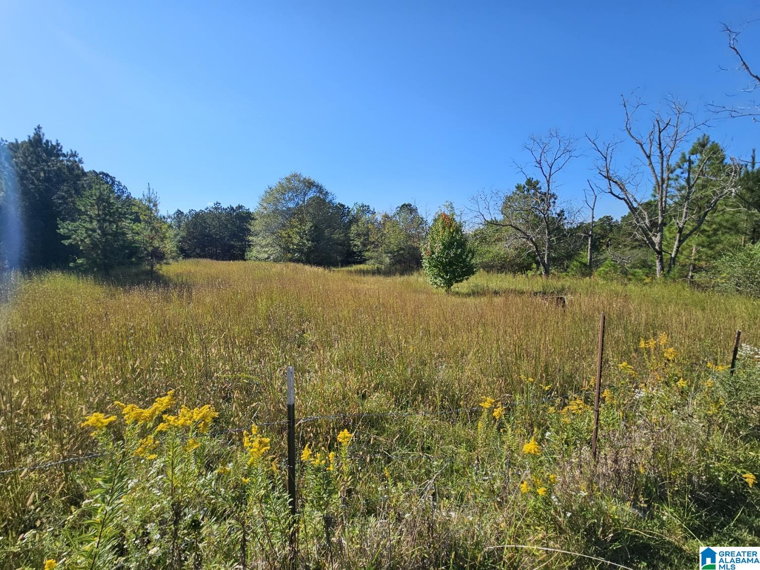 5288 Highway 27 Springville, AL 35146 - Photo 1 of 25