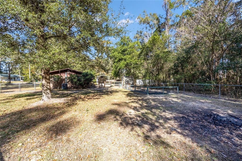 545 Southwest 257 Terrace Newberry, FL 32669 - Photo 40 of 46 a backyard of a house with lots of green space