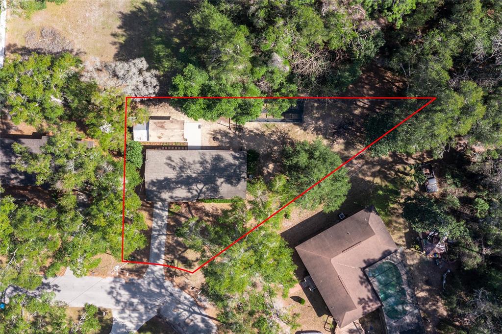 545 Southwest 257 Terrace Newberry, FL 32669 - Photo 44 of 46 a view of a garden with plants