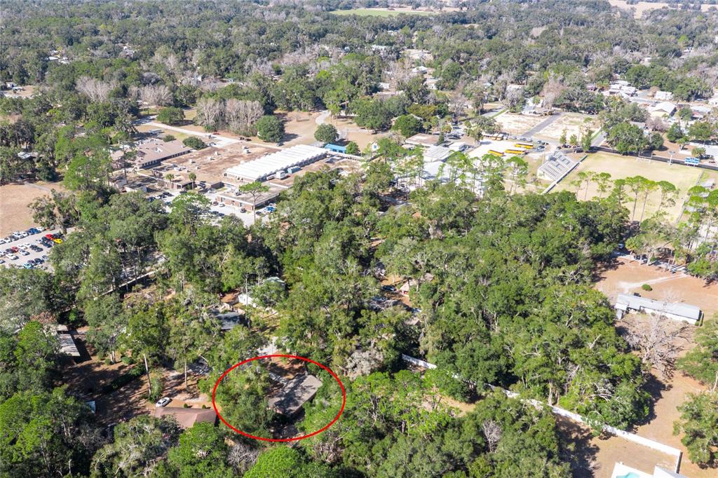 545 Southwest 257 Terrace Newberry, FL 32669 - Photo 45 of 46 a view of a house with a tree in the background