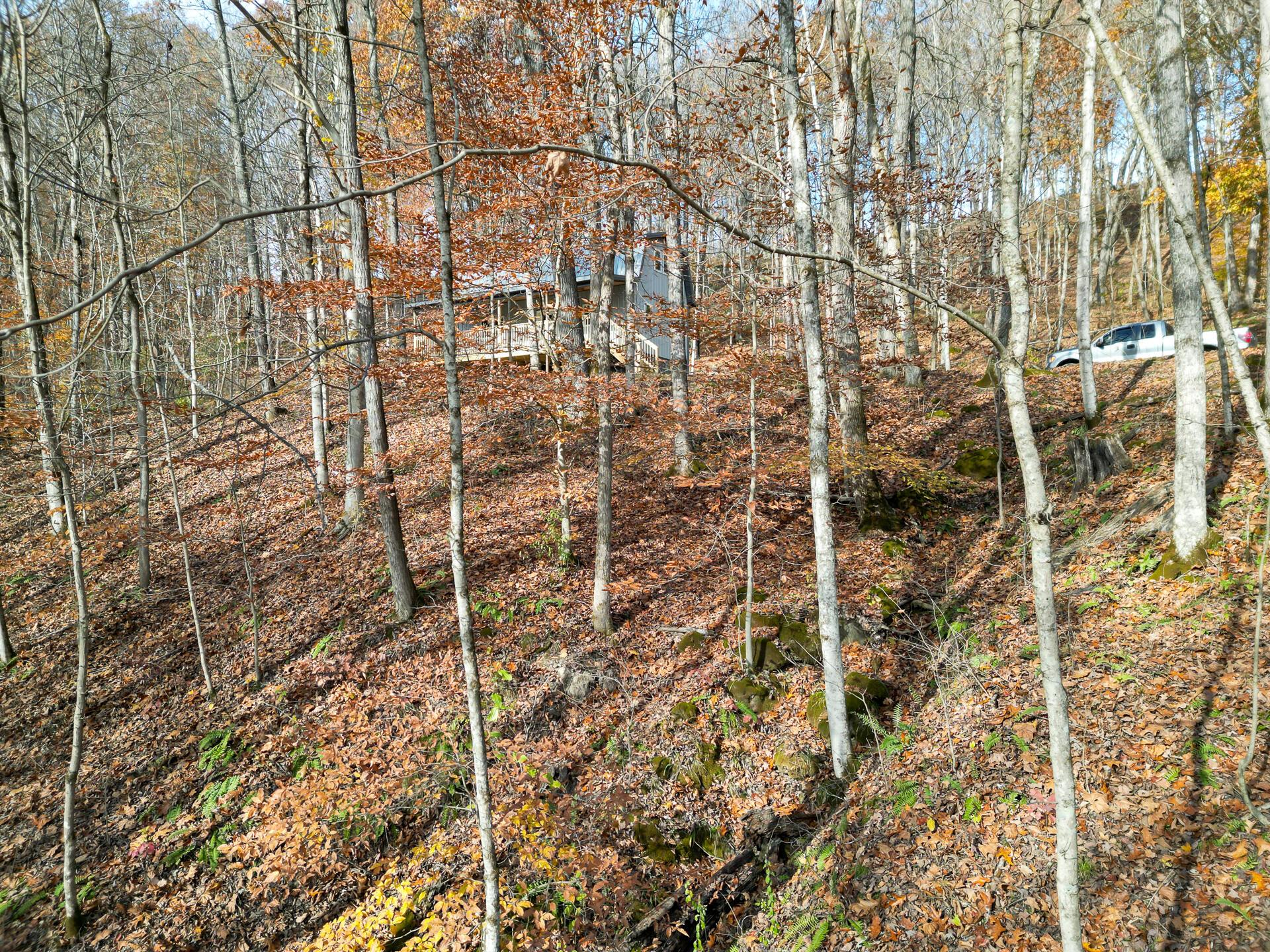 0 Keystone Road, Unit CREEKVIEW CABIN) Vinton, OH 45686 - Photo 94 of 95 CT-94