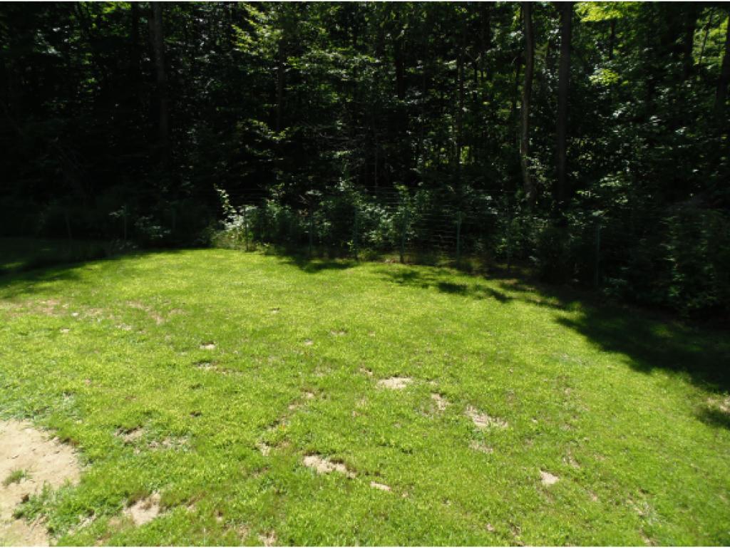349 North Hidden Lake Road Stoddard, NH 03280 - Photo 25 of 25 Gallery Image 25