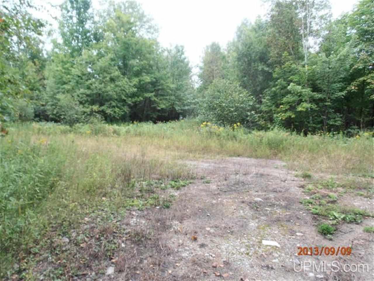 Tbd 38th N Rock Road Rock, MI 49880 - Photo 10 of 13