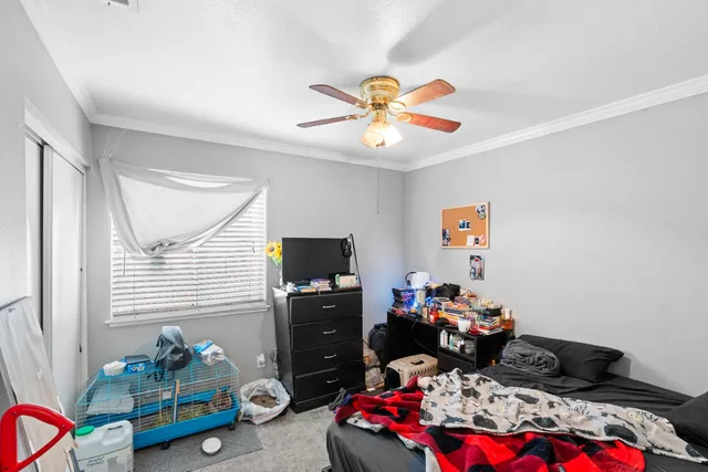 a view of a house with backyard and porch
