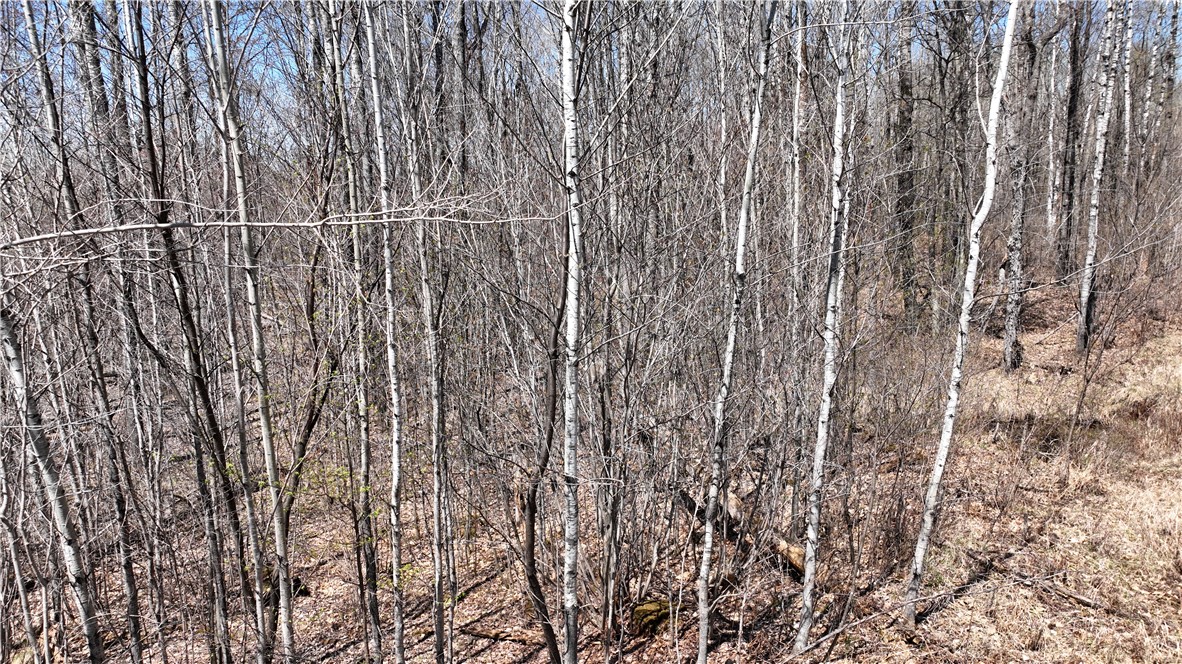Xx East Beauregard Lake Road Solon Springs, WI 54873 - Photo 28 of 37