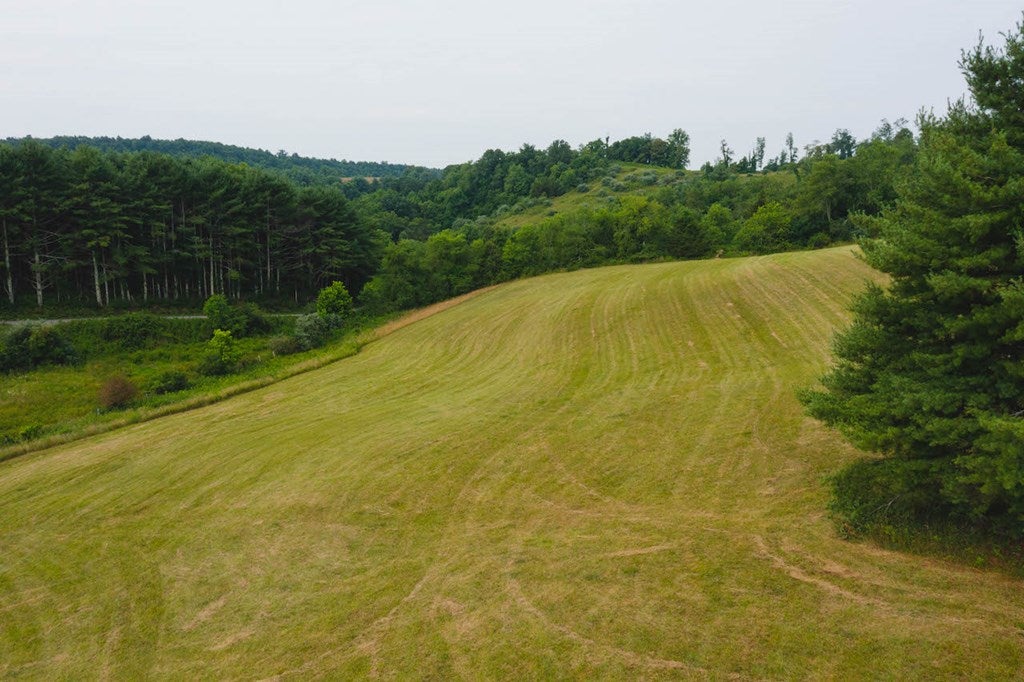 595 Stillwell Road Draper, VA 24324 - Photo 19 of 39 Gallery Image 19