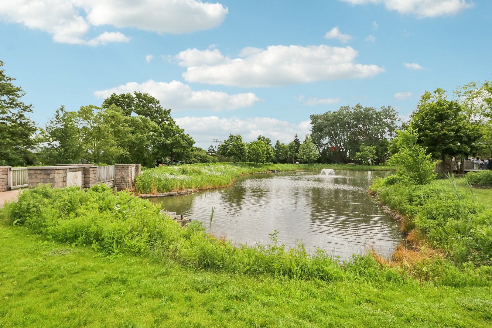 785 Cambridge Lane Hoffman Estates, IL 60169 - Photo 48 of 48 a view of a lake
