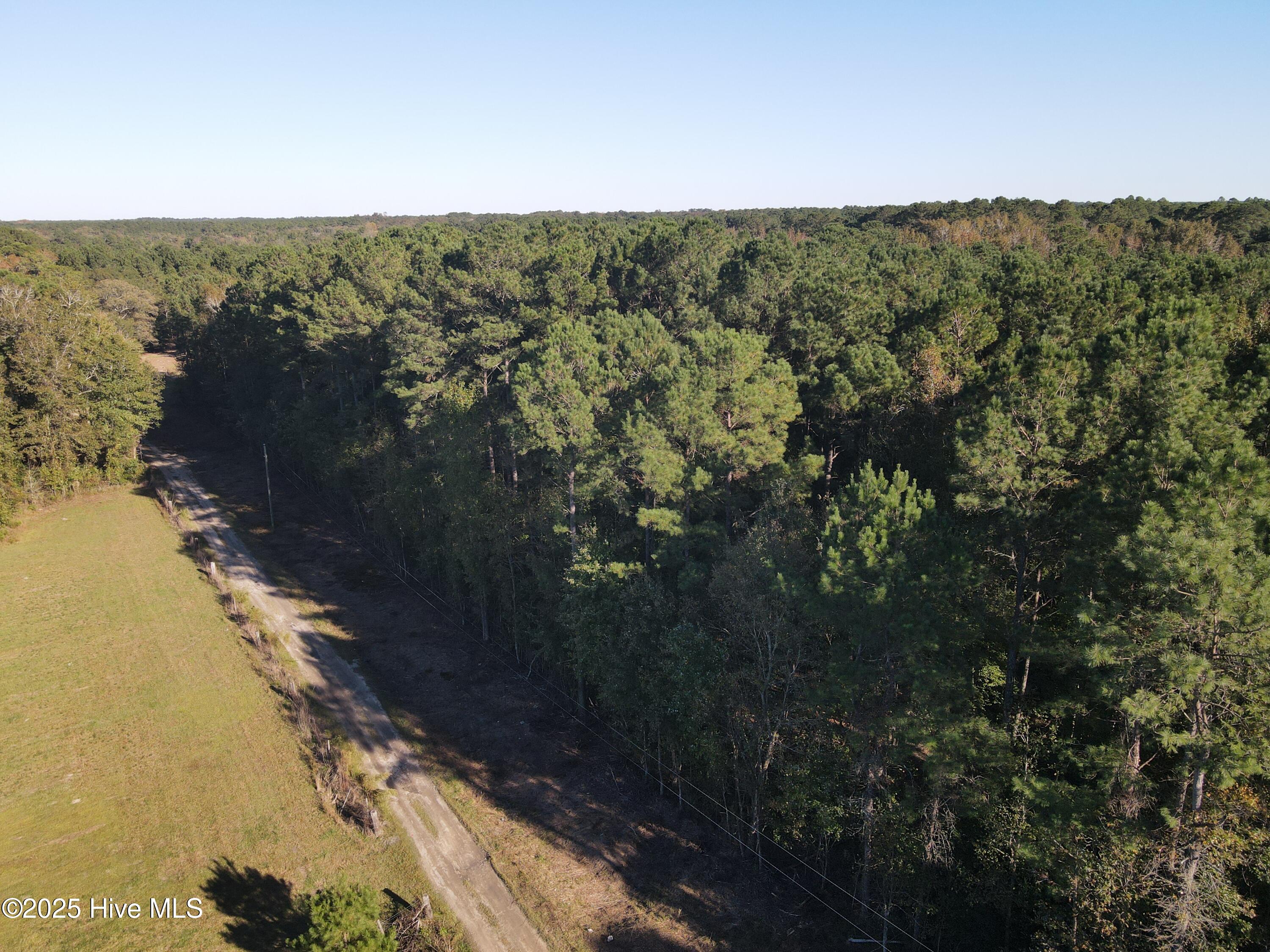 282 James E Moore Road Currie, NC 28435 - Photo 1 of 14 DJI_0250
