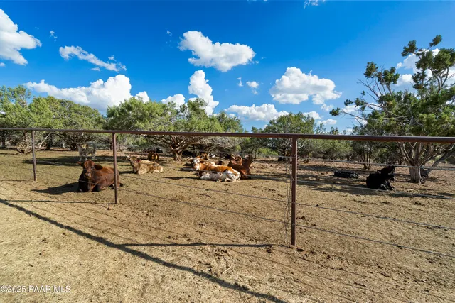 $3,499,700 | 33425 Cowboy Clint Road, Seligman, AZ 86337