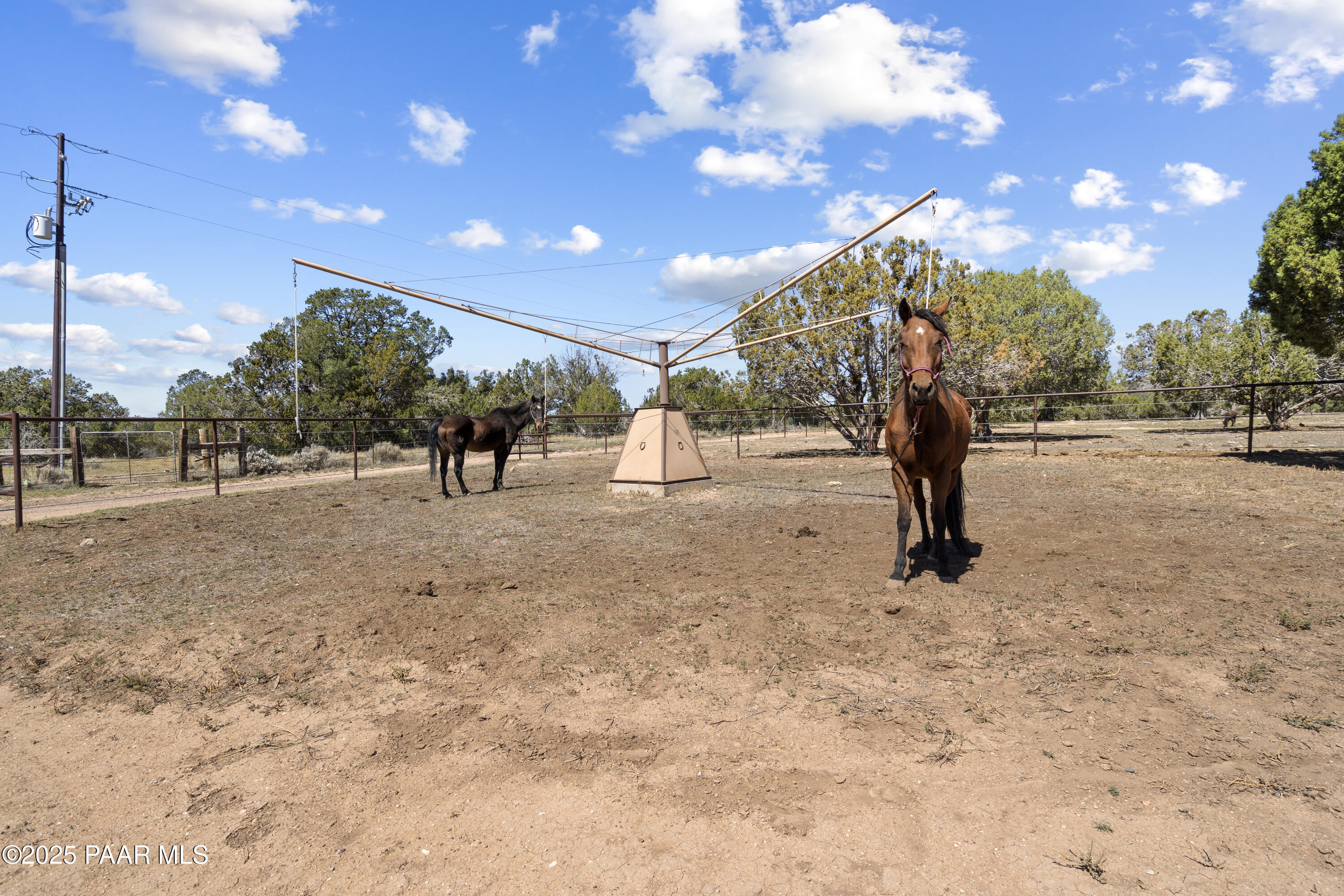 33425 Cowboy Clint Road Seligman, AZ 86337 - Photo 68 of 79 a view of outdoor space with trees