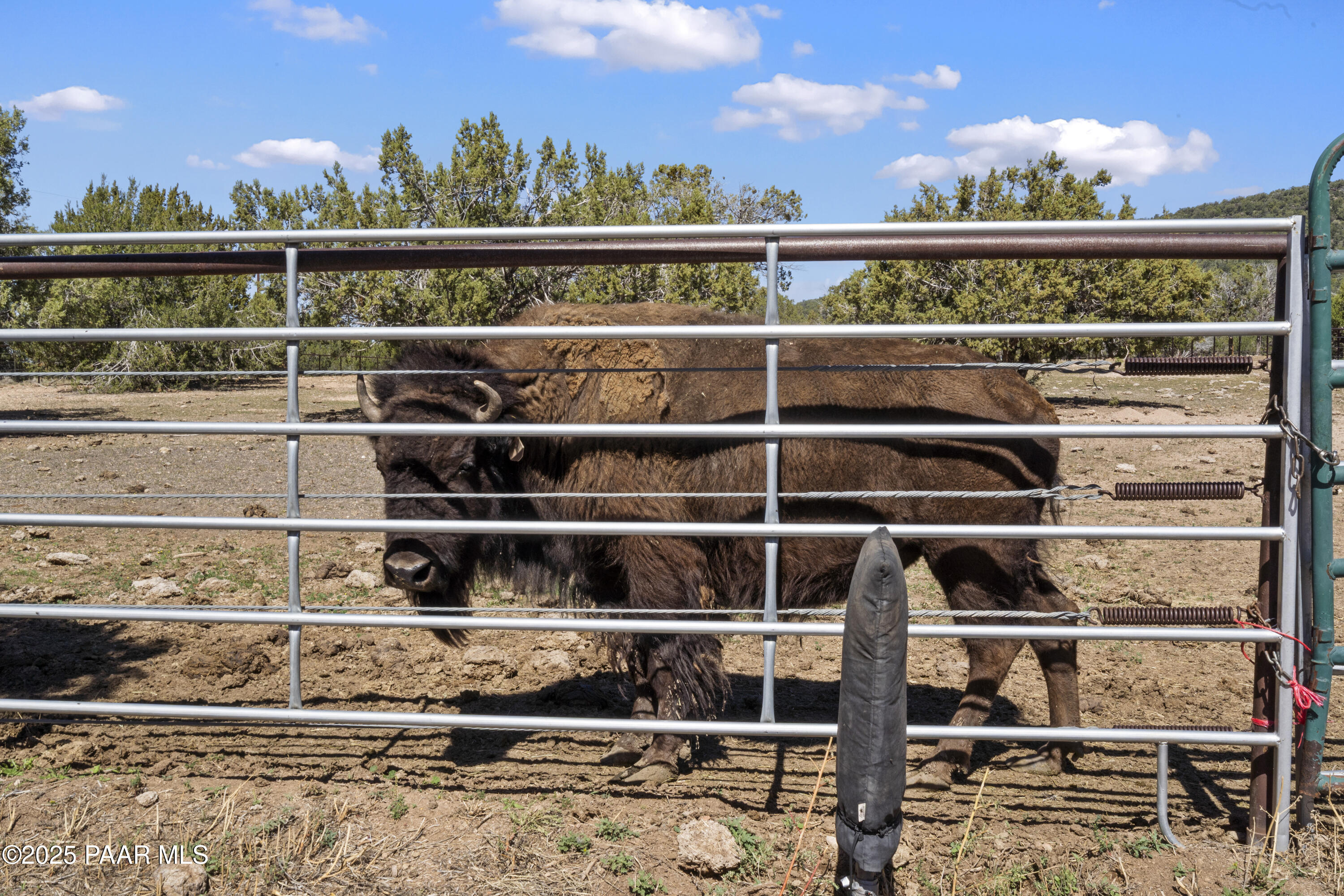 33425 Cowboy Clint Road Seligman, AZ 86337 - Photo 70 of 79 a view of a balcony