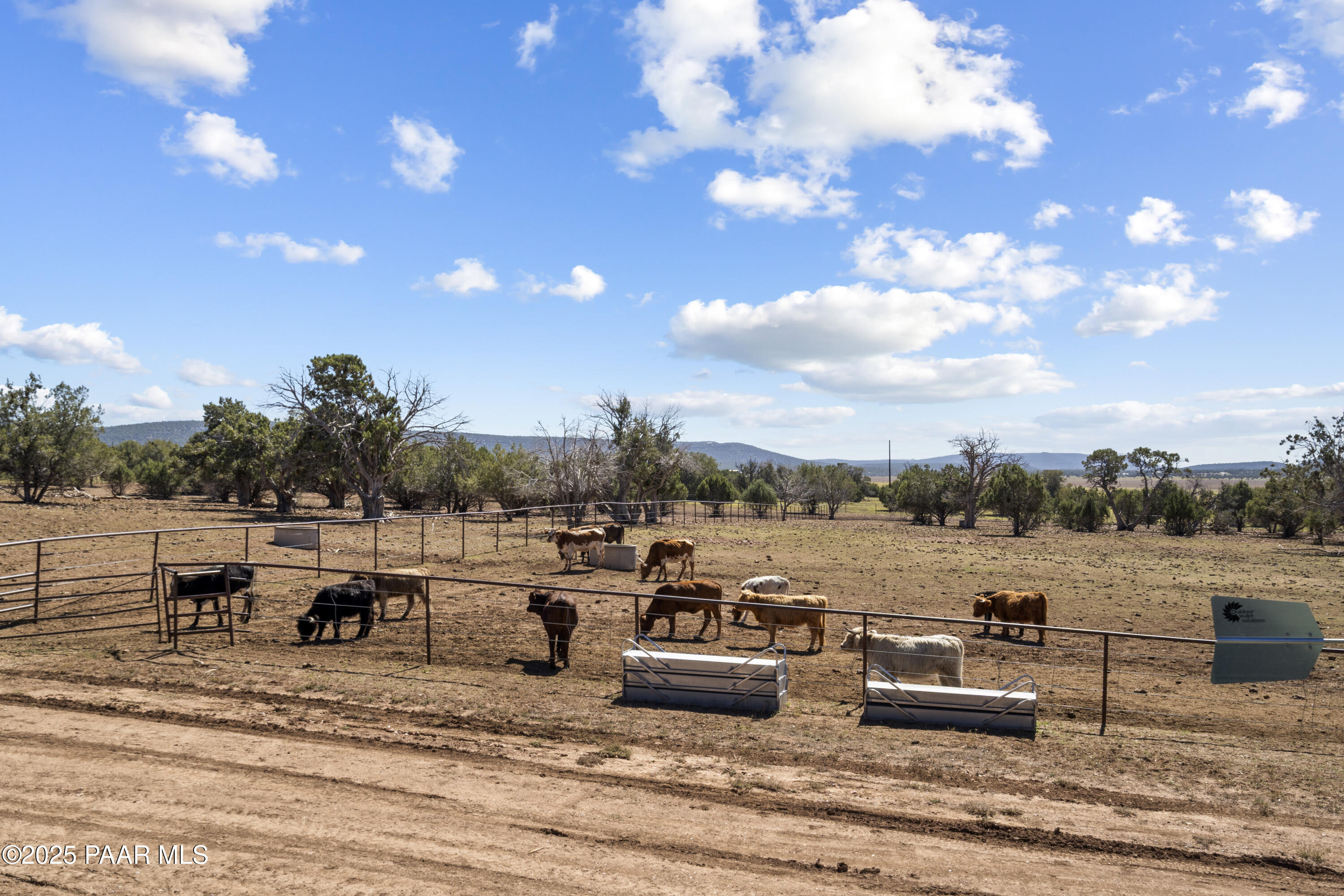 33425 Cowboy Clint Road Seligman, AZ 86337 - Photo 78 of 79 Cement Auto fill Water trough