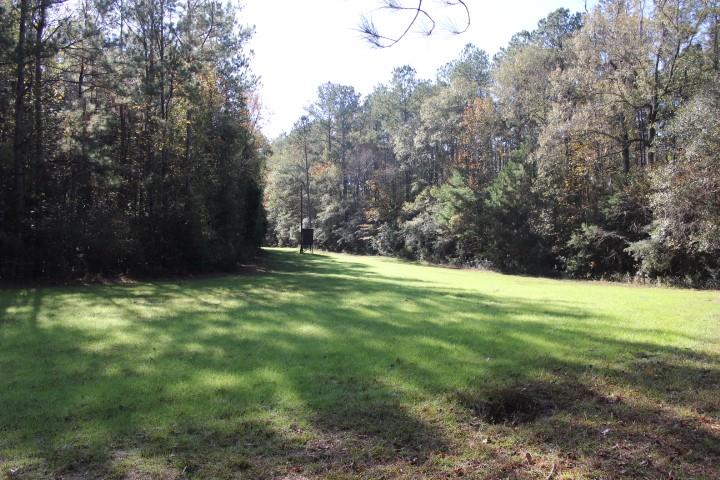 2599 Wales Road Greensburg, LA 70441 - Photo 20 of 30