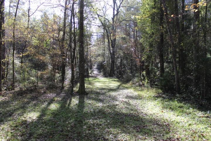 2599 Wales Road Greensburg, LA 70441 - Photo 22 of 30