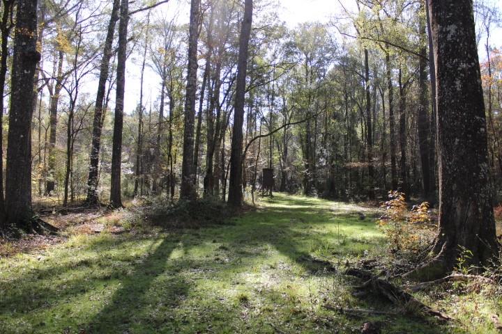 2599 Wales Road Greensburg, LA 70441 - Photo 23 of 30