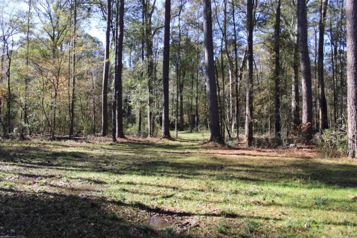 2599 Wales Road Greensburg, LA 70441 - Photo 27 of 30