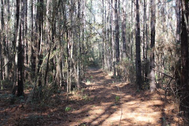 2599 Wales Road Greensburg, LA 70441 - Photo 28 of 30