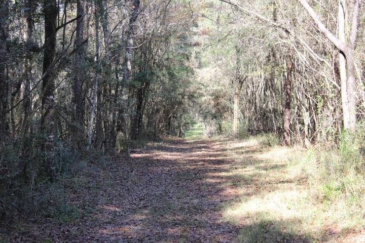2599 Wales Road Greensburg, LA 70441 - Photo 29 of 30
