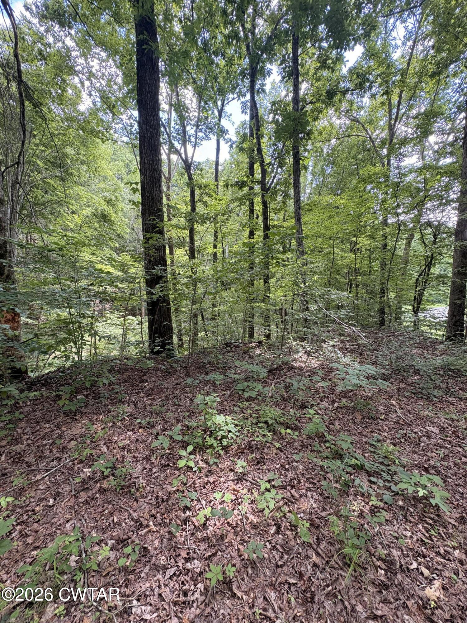 0 Woods Fork Road Linden, TN 37096 - Photo 7 of 12 a view of outdoor space and green space