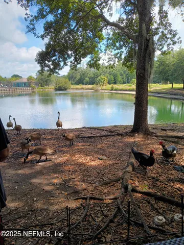 a view of a lake with a tree