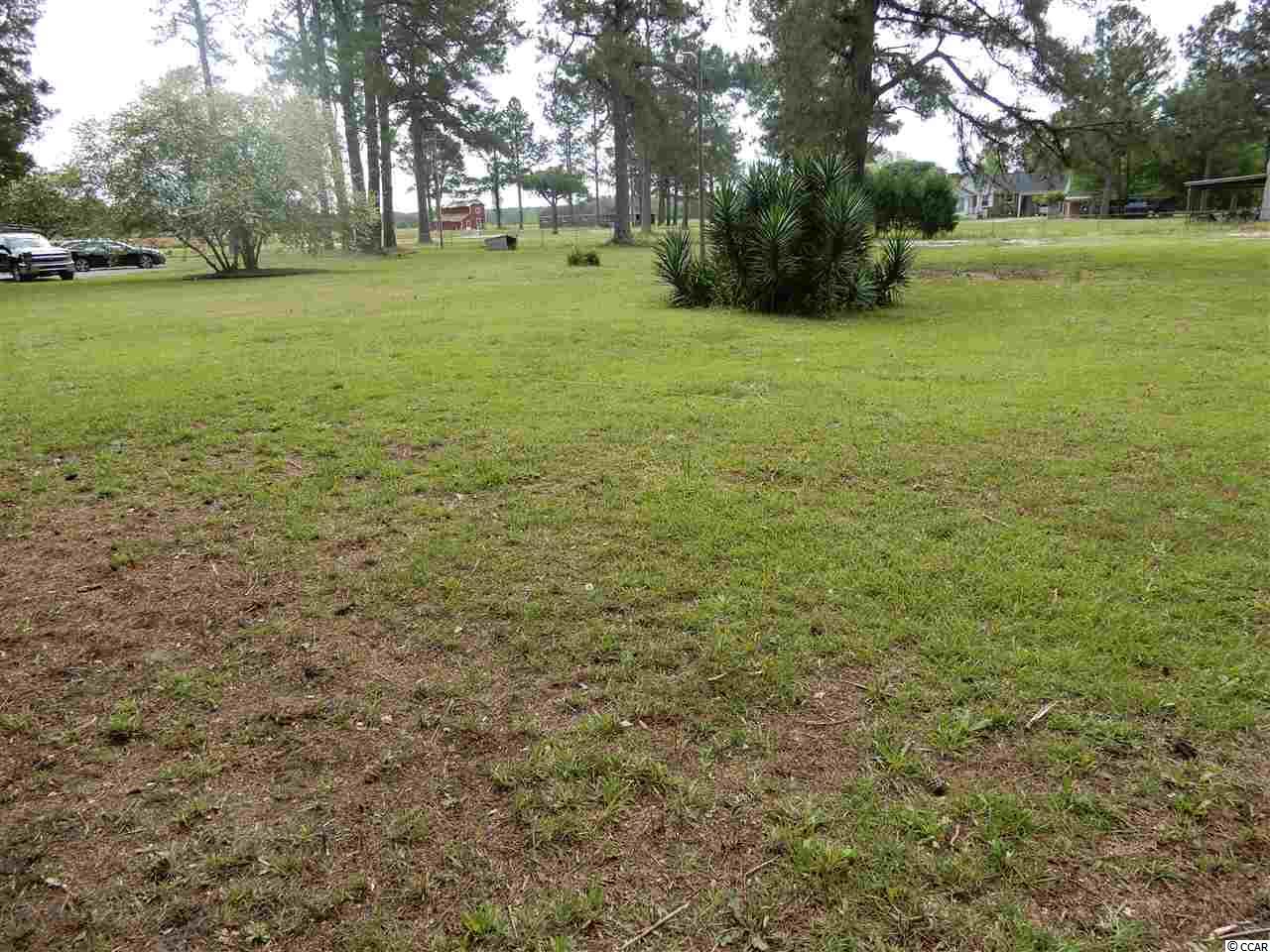 4900 Red Bluff Road Loris, SC 29569 - Photo 13 of 39 Gallery Image 13