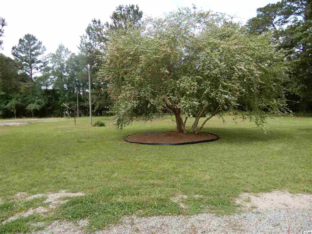 4900 Red Bluff Road Loris, SC 29569 - Photo 9 of 39 Gallery Image 9