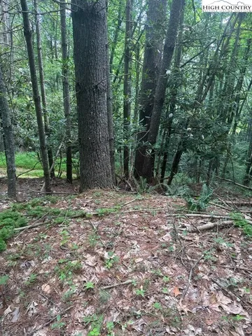a view of outdoor space with trees