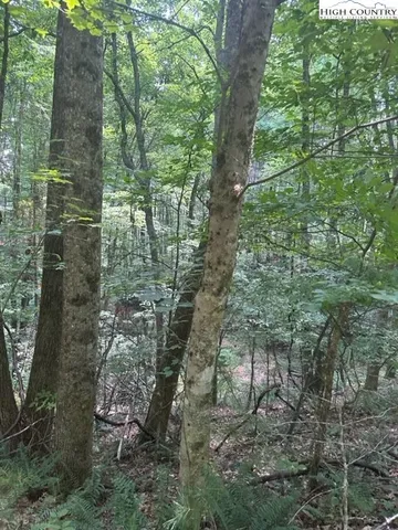 a aerial view of a house with a yard