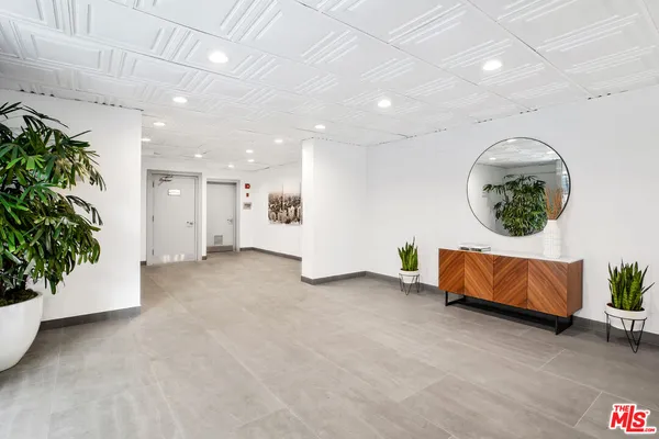 a view of livingroom and a potted plant