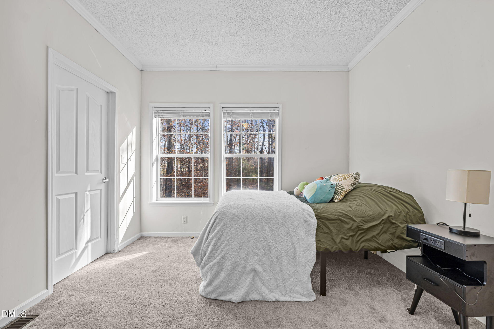4501 Foreys Court Graham, NC 27253 - Photo 22 of 47 a living room with furniture
