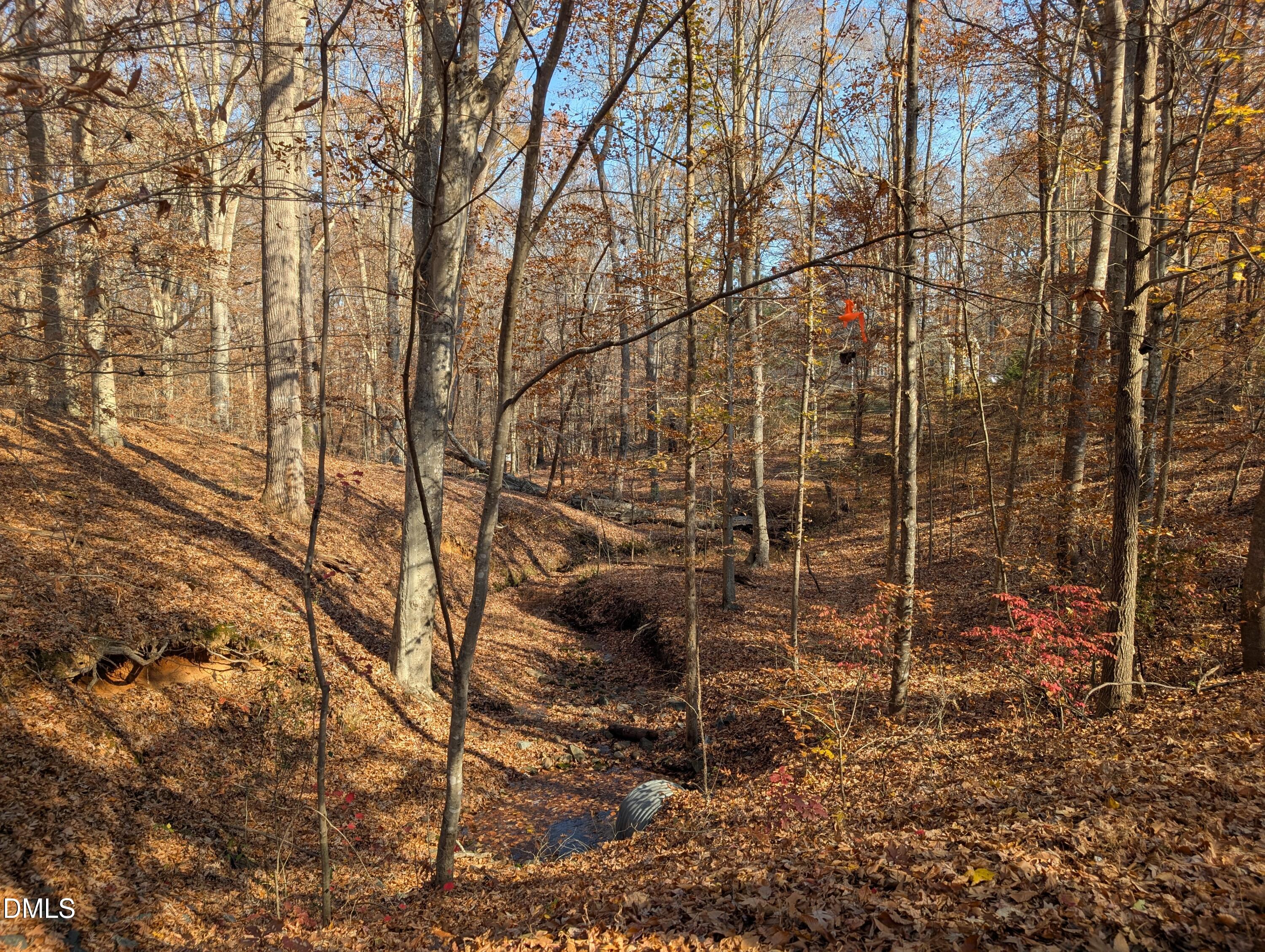 4501 Foreys Court Graham, NC 27253 - Photo 34 of 47 a view of a pathway with a street