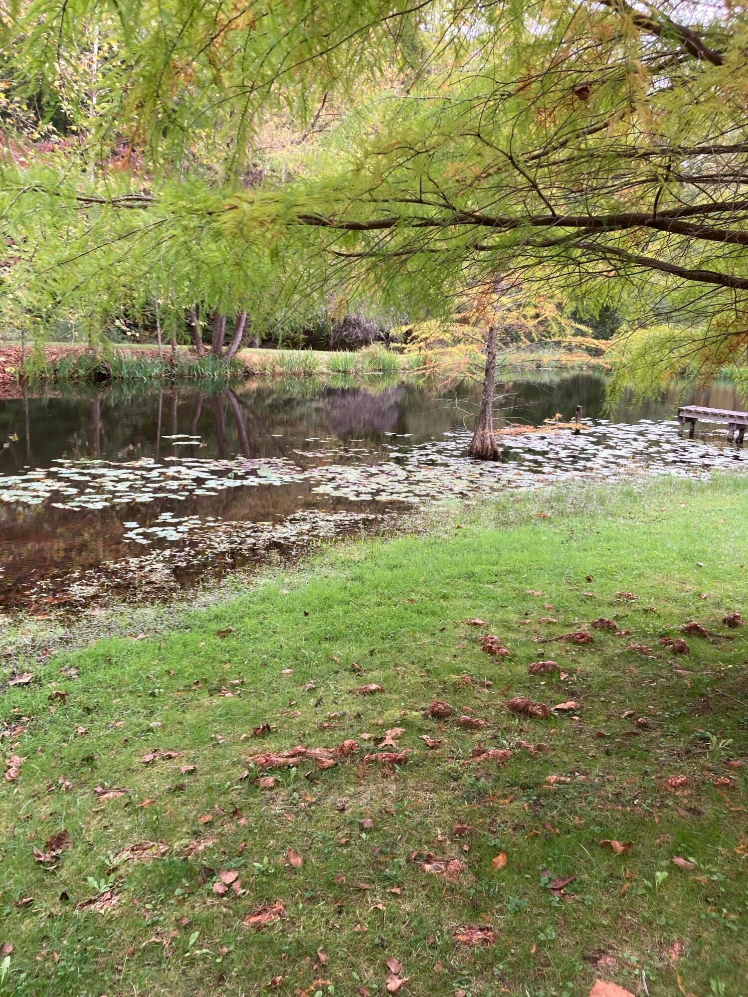 5348 Sheets Road Logan, OH 43138 - Photo 26 of 30 Gallery Image 26