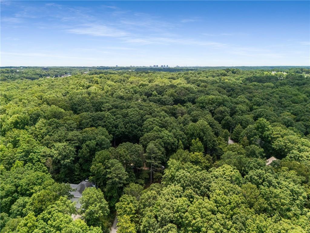 9035 River Run Atlanta, GA 30350 - Photo 63 of 66
