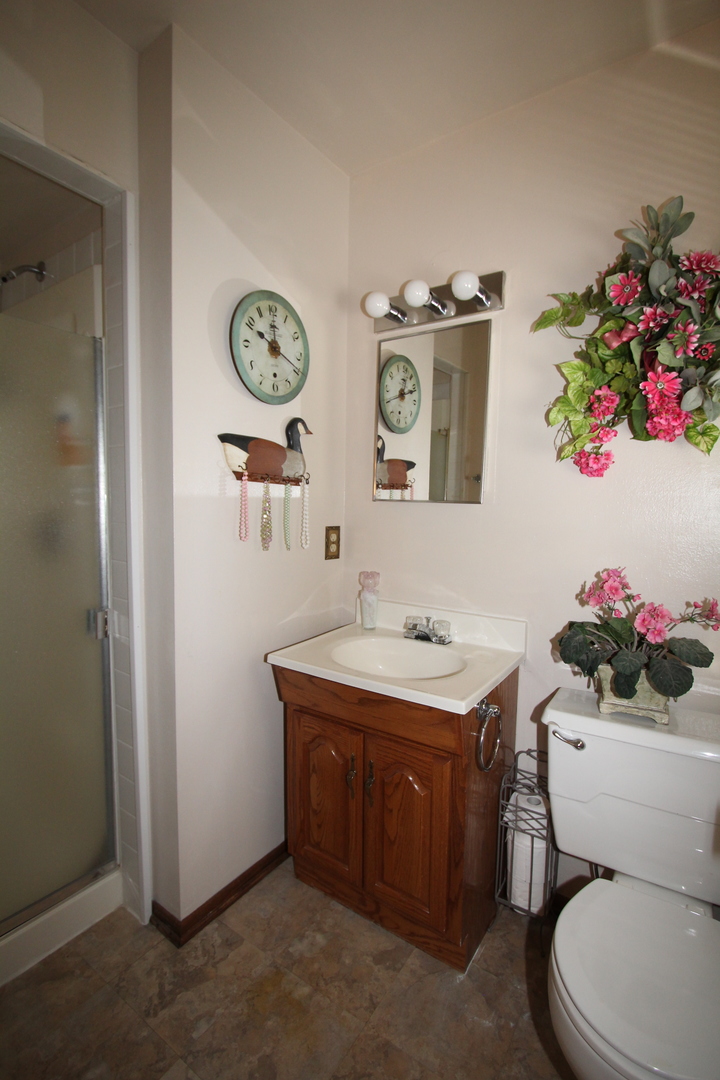 603 Old Orchard Road Harvard, IL 60033 - Photo 22 of 46 a bathroom with a toilet a sink and a mirror