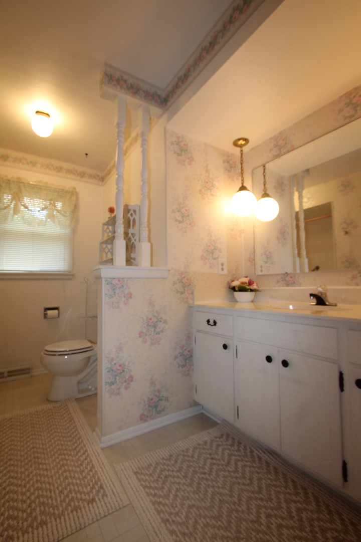 603 Old Orchard Road Harvard, IL 60033 - Photo 26 of 46 a bathroom with a sink a toilet and mirror