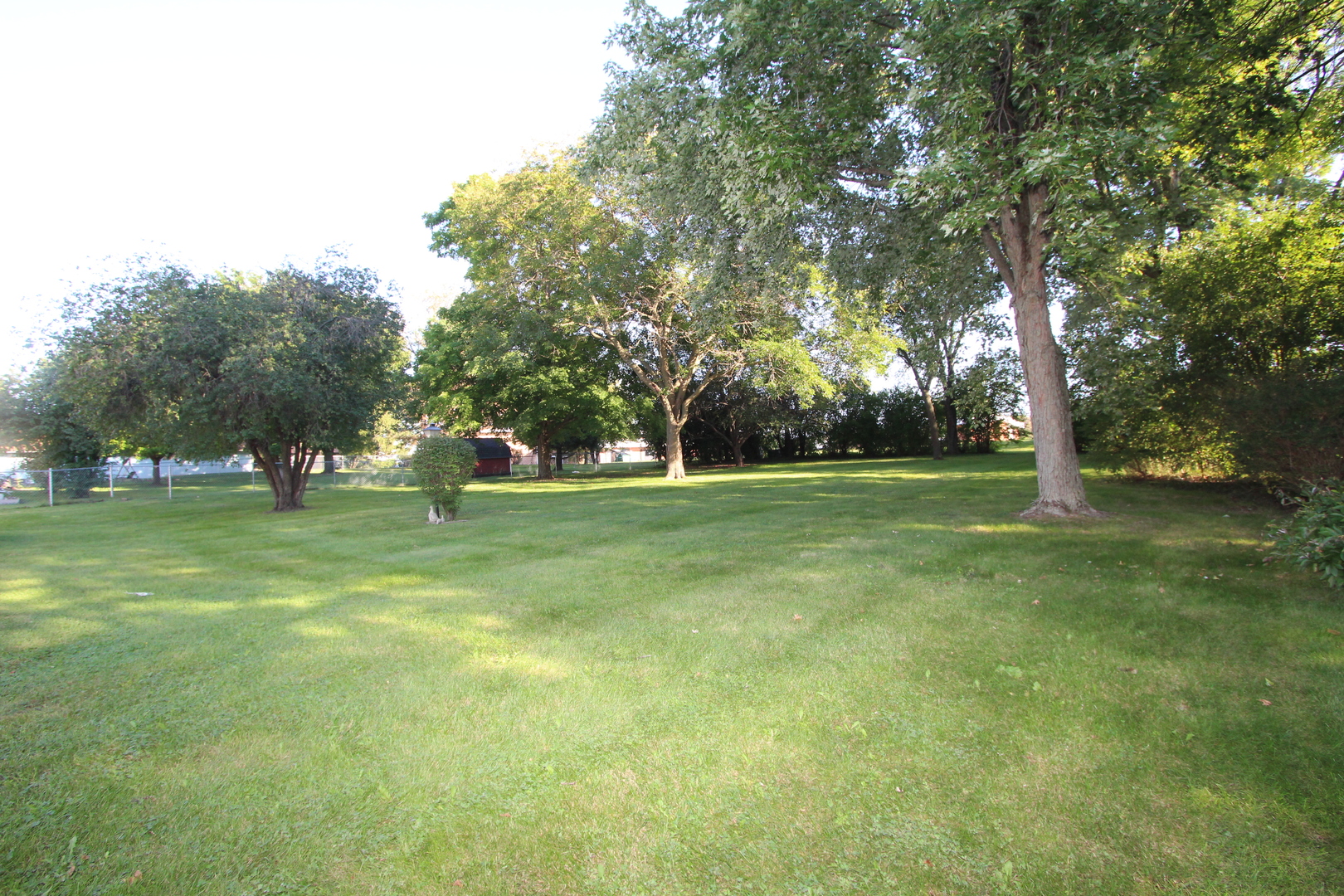 603 Old Orchard Road Harvard, IL 60033 - Photo 42 of 46 a view of a park with large trees