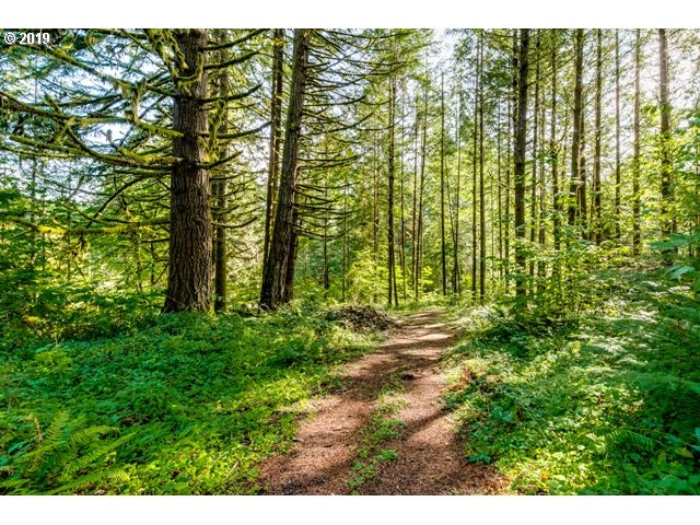 39886 Howard Road Marcola, OR 97454 - Photo 23 of 27 Gallery Image 23